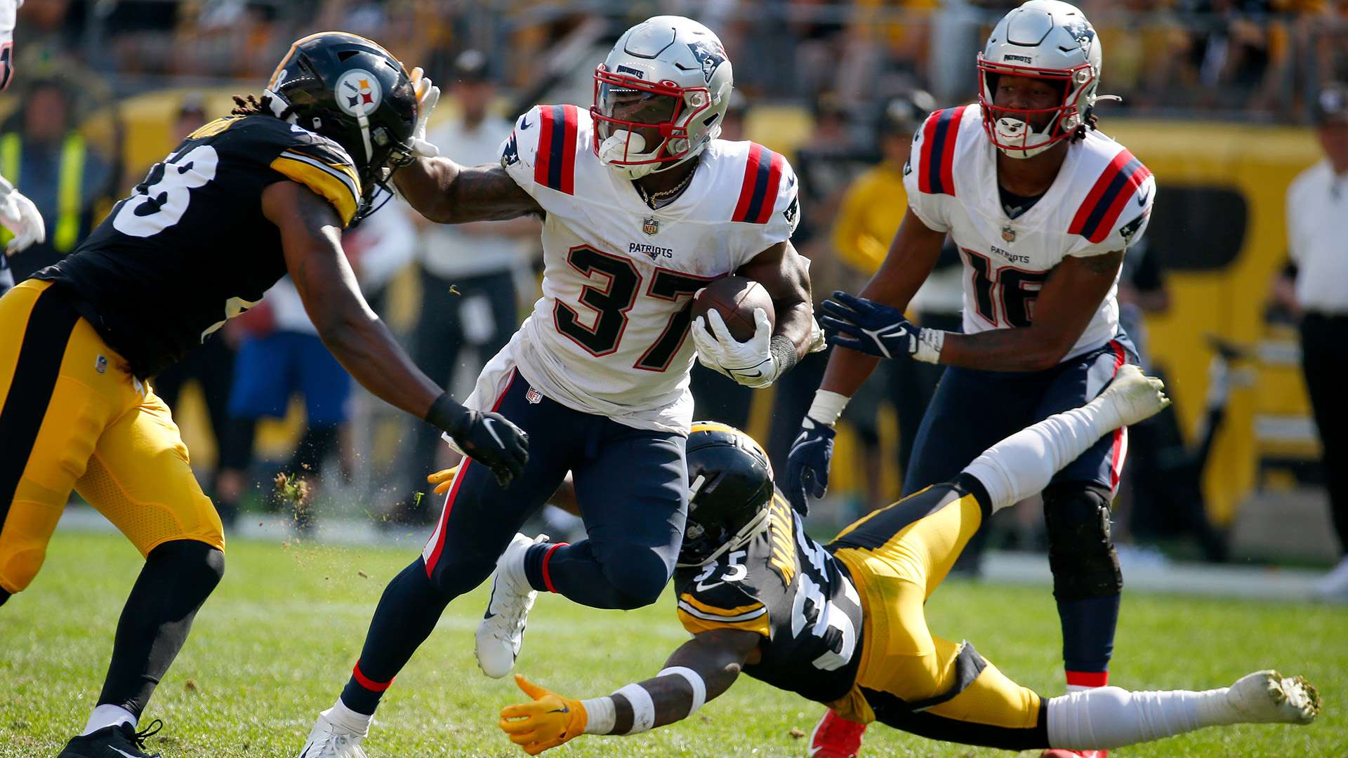 留多哈的背 留多哈的背