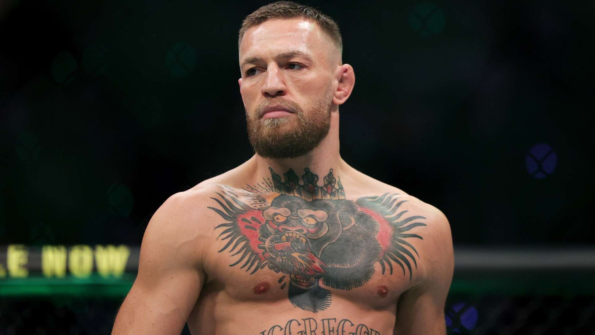 更多进攻的 更多进攻的